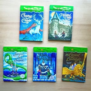 Magic Tree House Merlin Mission series!